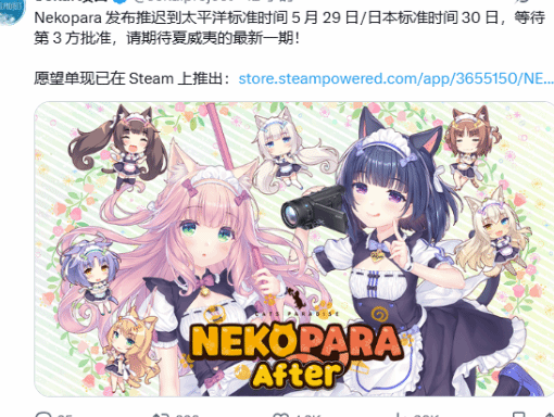 在国外玩国内游戏用什么加速器教程